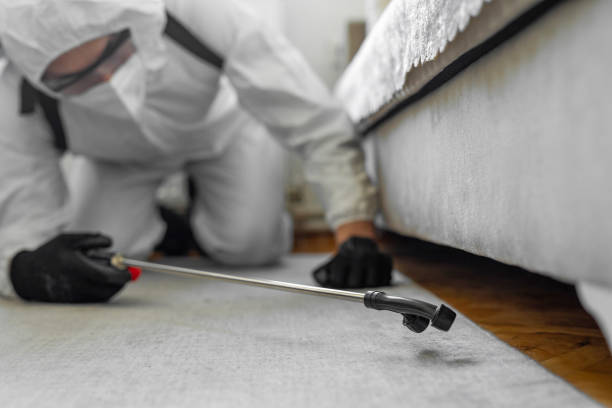 Professional Termite Control technician working in Orchard Homes, MT