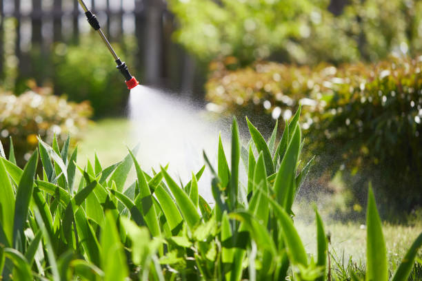24/7 Emergency Termite Control experts in Orchard Homes, MT