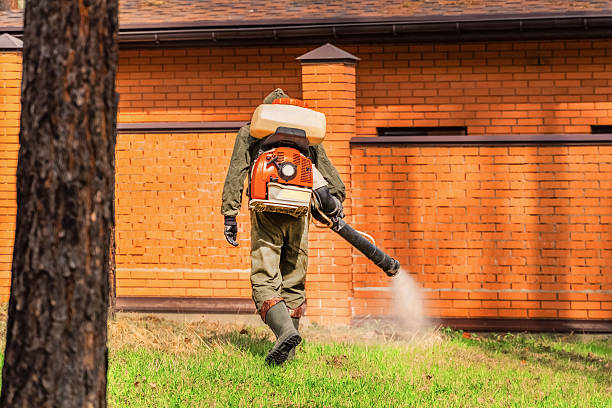 Trusted Emergency Pest Control service in Orchard Homes, MT - Nex Pest Control